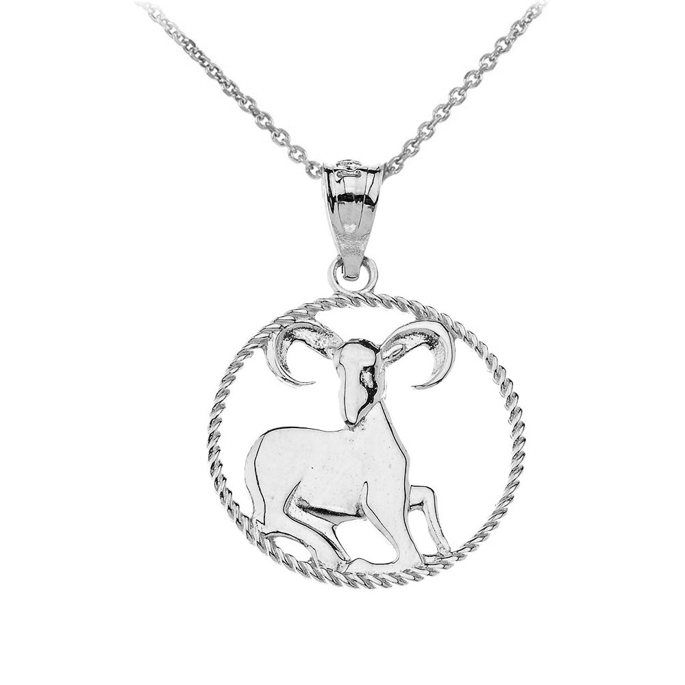 12 Astrological Zodiac Signs Rope Pendant Necklace in Sterling Silver, view 3