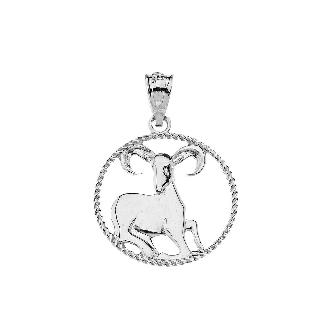 12 Astrological Zodiac Signs Rope Pendant Necklace in Sterling Silver, view 4