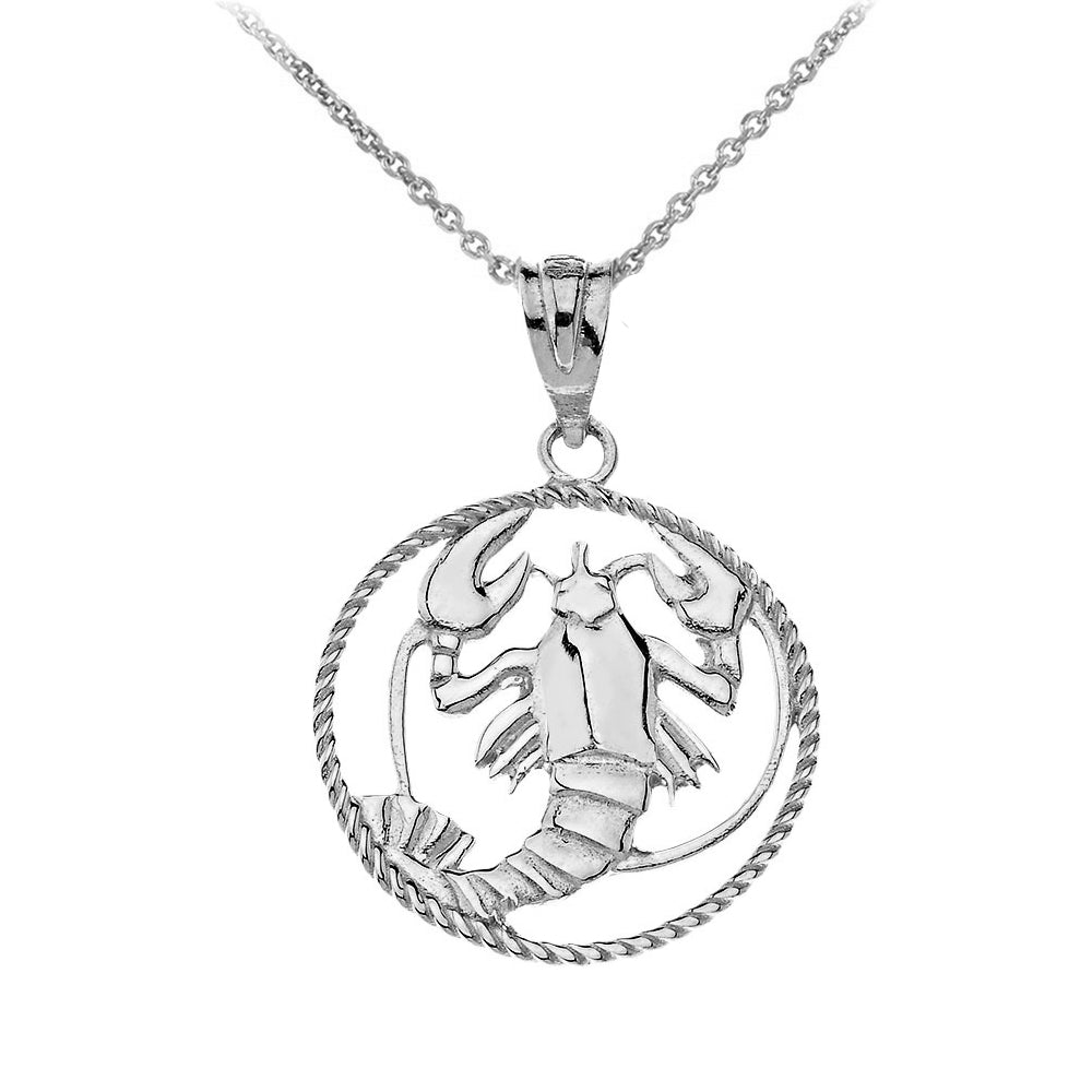 12 Astrological Zodiac Signs Rope Pendant Necklace in Sterling Silver, view 5