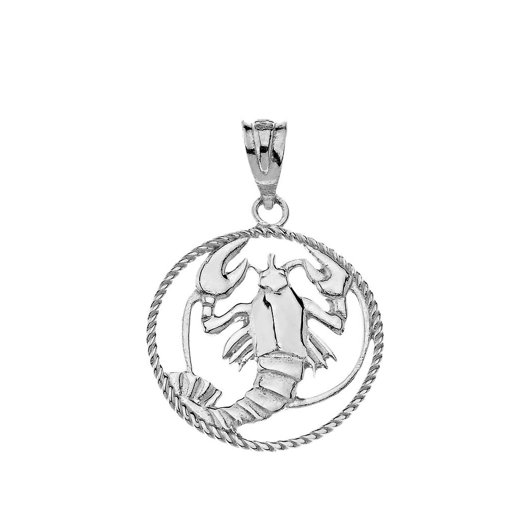 12 Astrological Zodiac Signs Rope Pendant Necklace in Sterling Silver, view 6