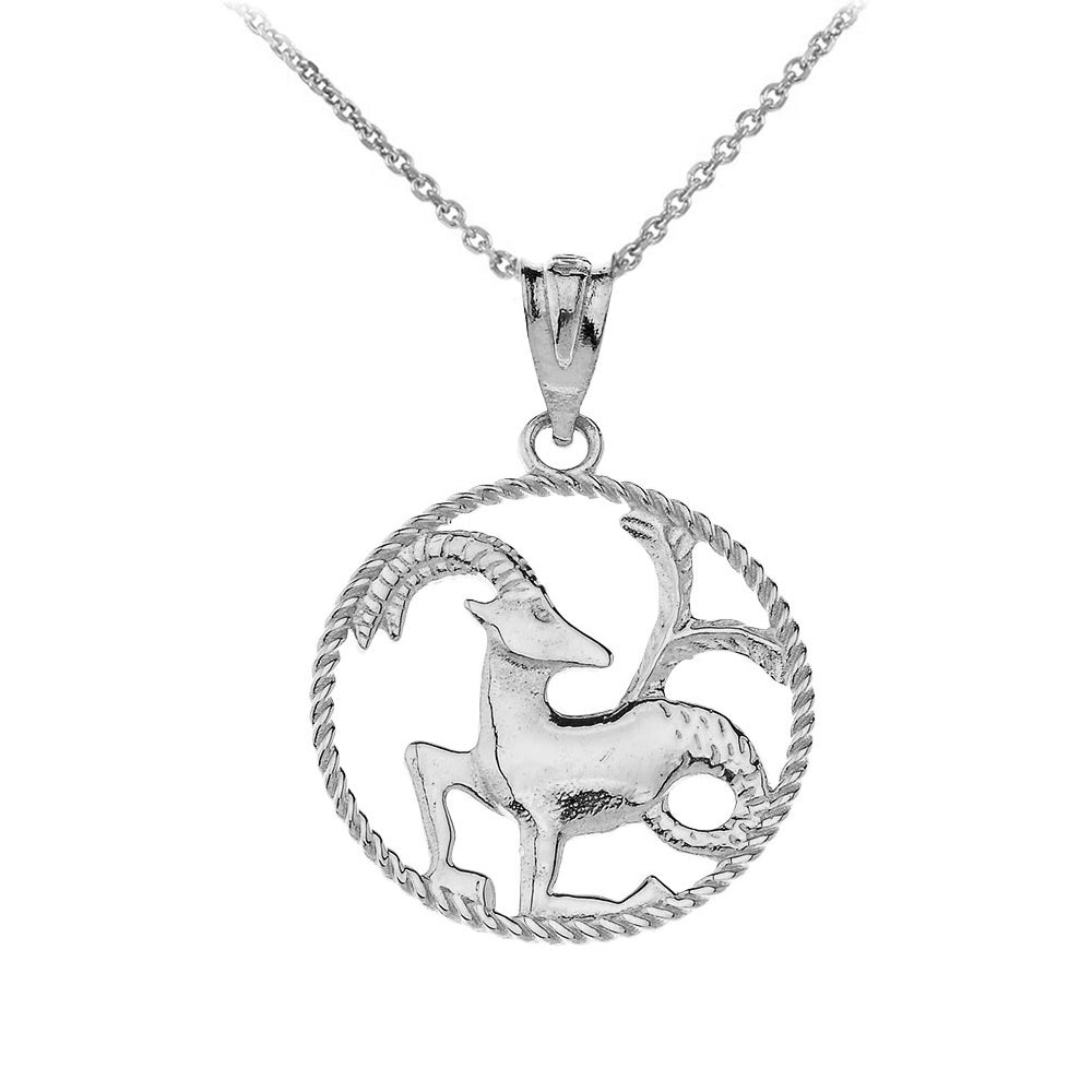 12 Astrological Zodiac Signs Rope Pendant Necklace in Sterling Silver, view 7