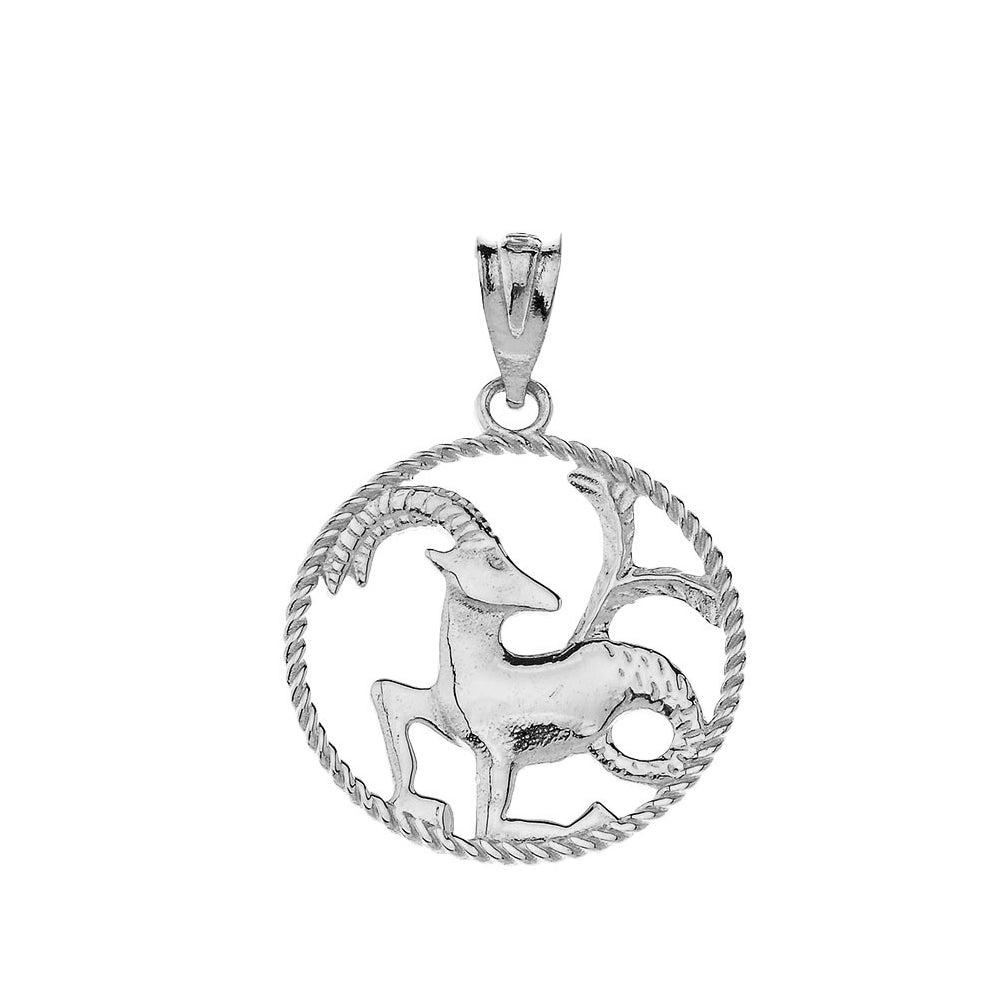 12 Astrological Zodiac Signs Rope Pendant Necklace in Sterling Silver, view 8
