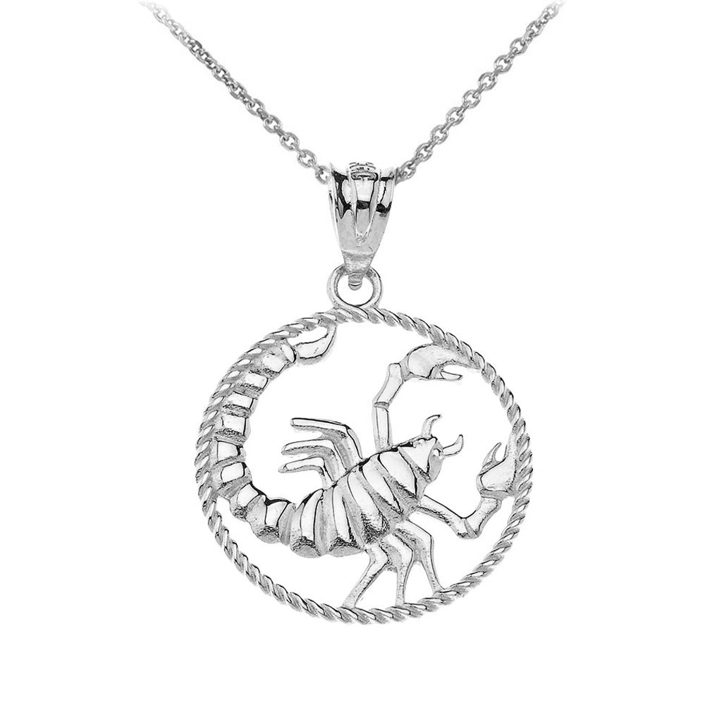 12 Astrological Zodiac Signs Rope Pendant Necklace in Sterling Silver, view 19