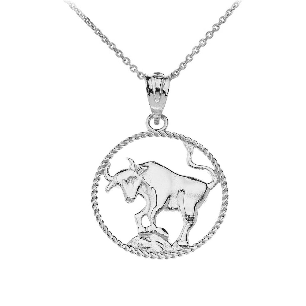 12 Astrological Zodiac Signs Rope Pendant Necklace in Sterling Silver, view 21