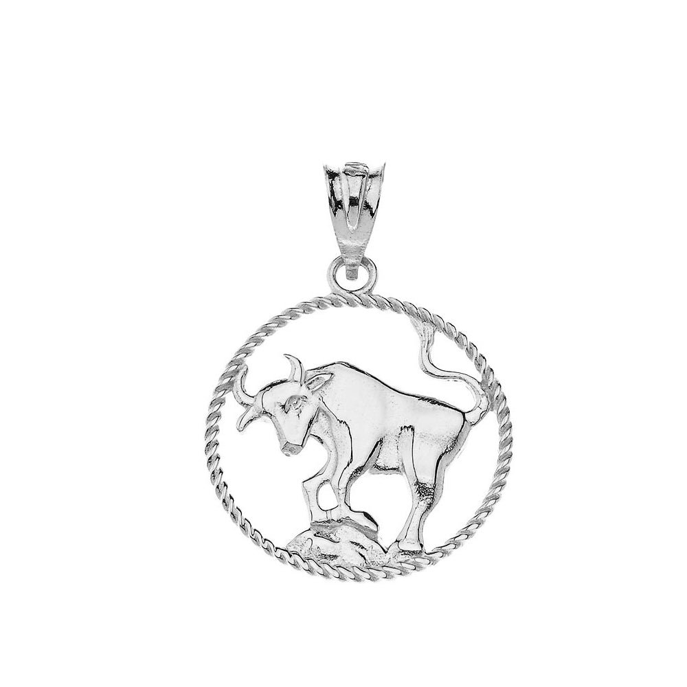 12 Astrological Zodiac Signs Rope Pendant Necklace in Sterling Silver, view 22