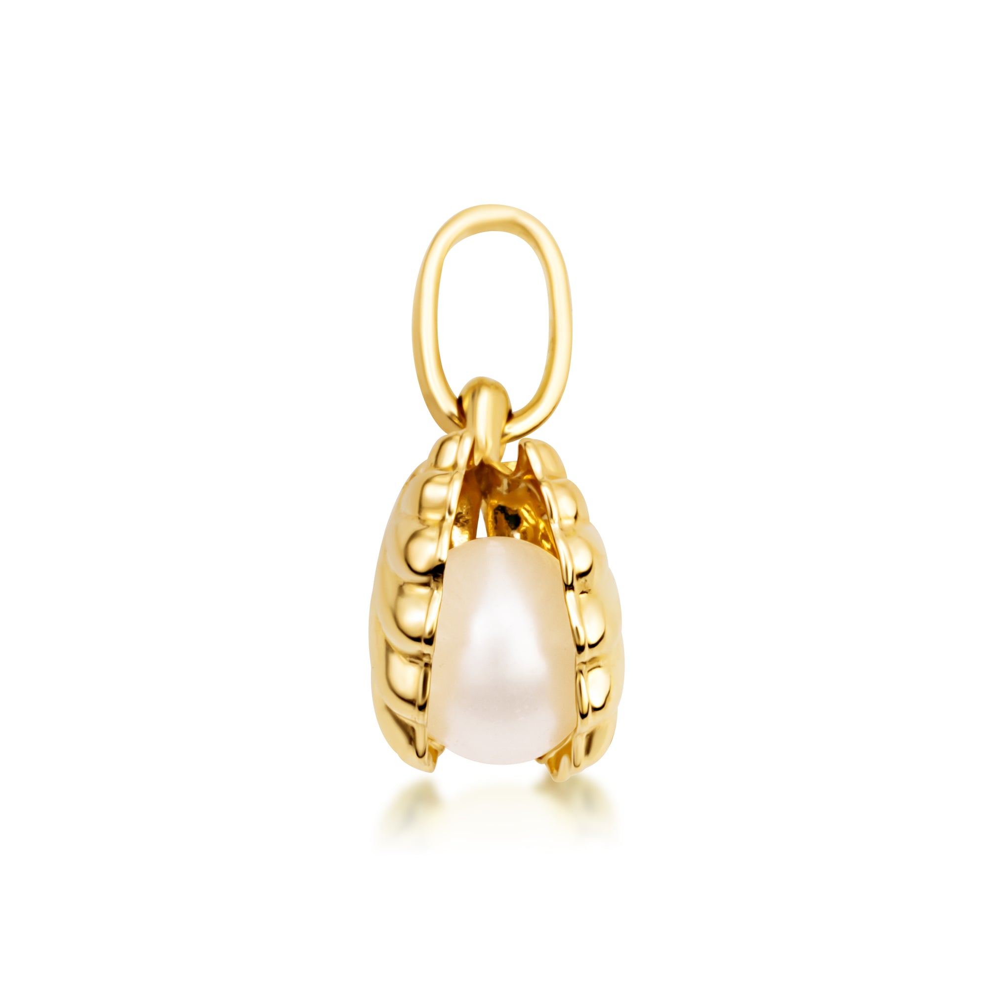 14K Gold Pearl Seashell Necklace, view 4