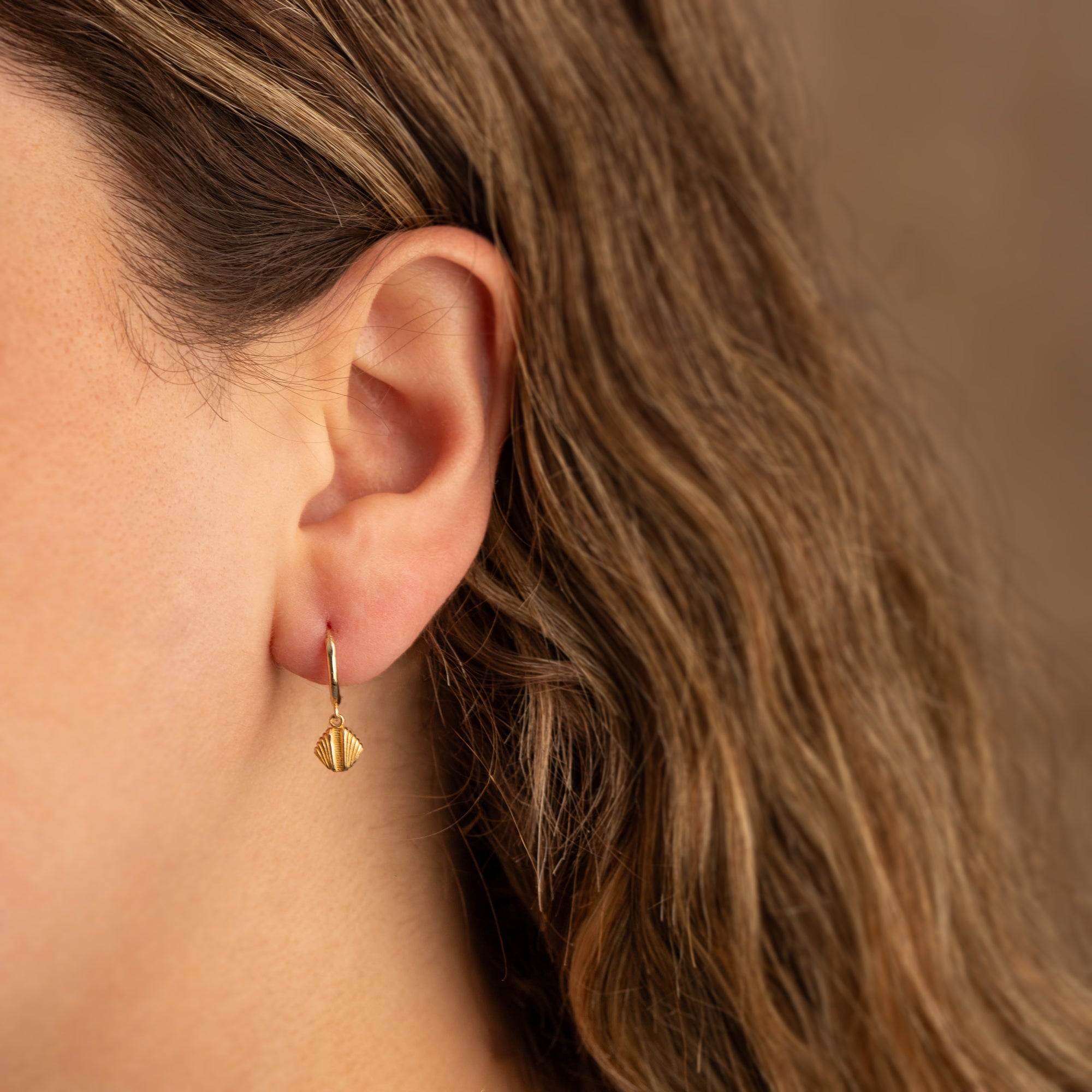 14K Gold Seashell Earrings, view 2