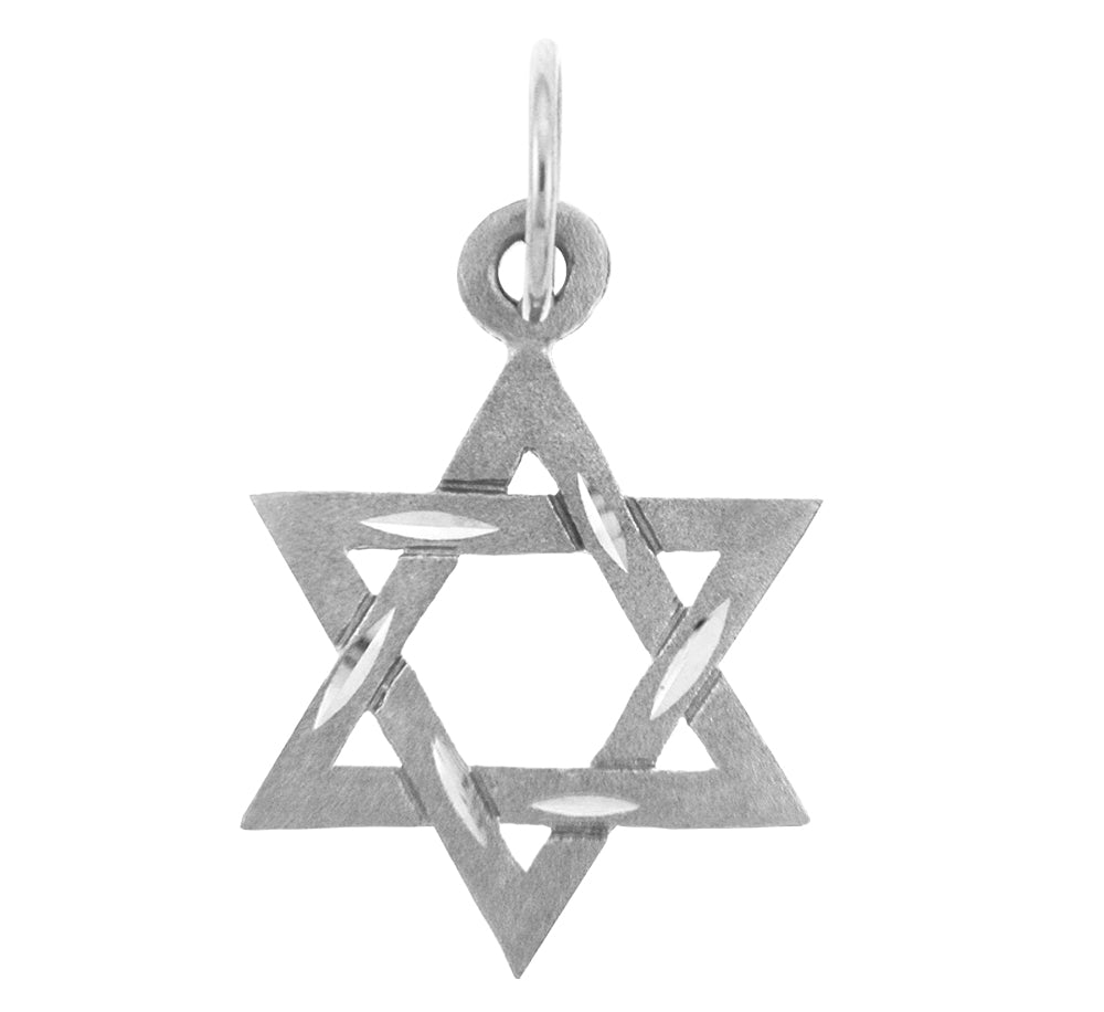 14K White Gold Diamond Cut Star of David Pendant