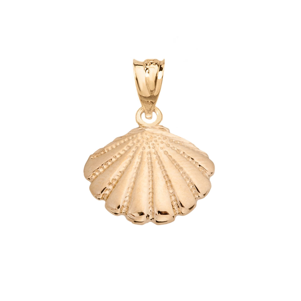 Gold Cockle Sea Shell, view 2