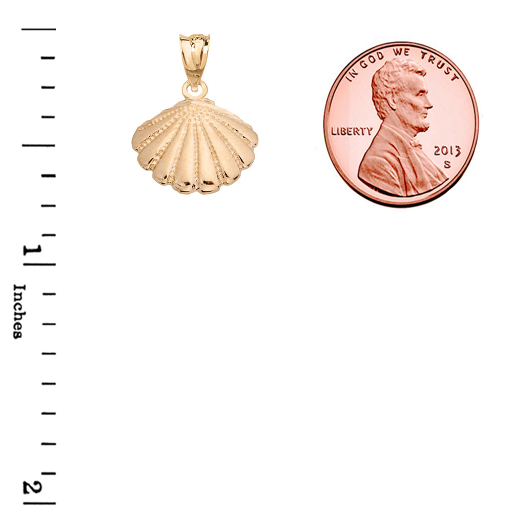 Gold Cockle Sea Shell, view 3