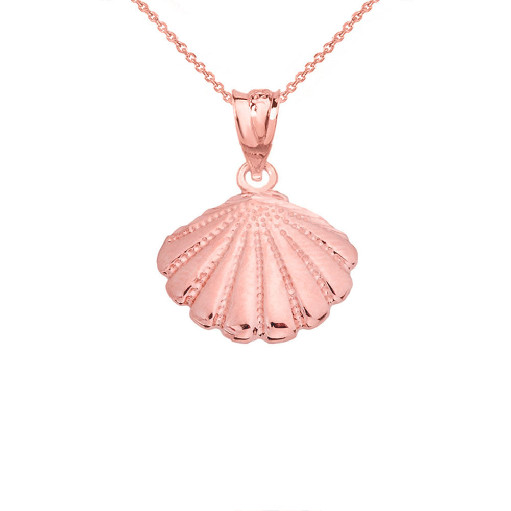 Gold Cockle Sea Shell, view 4