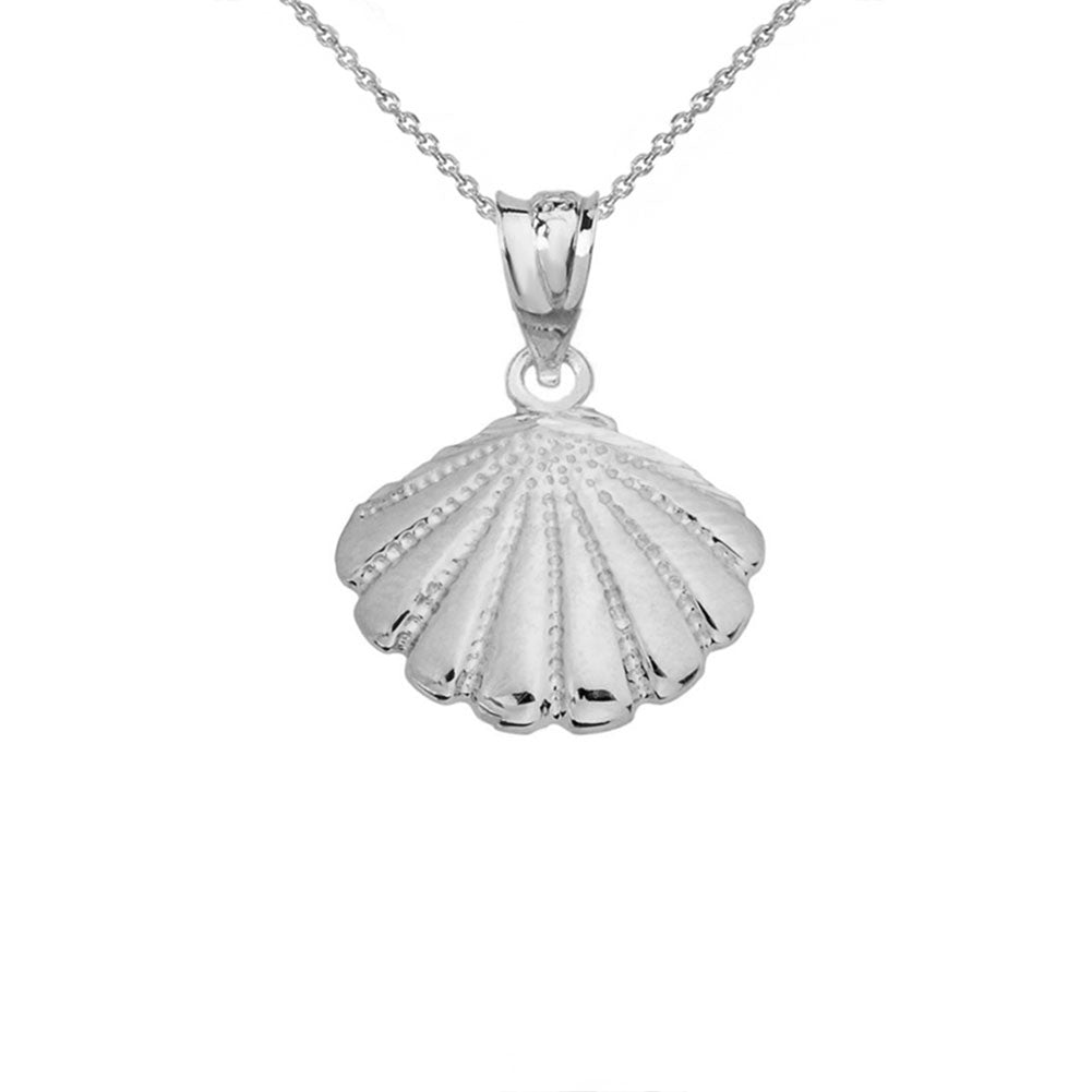 Gold Cockle Sea Shell, view 5