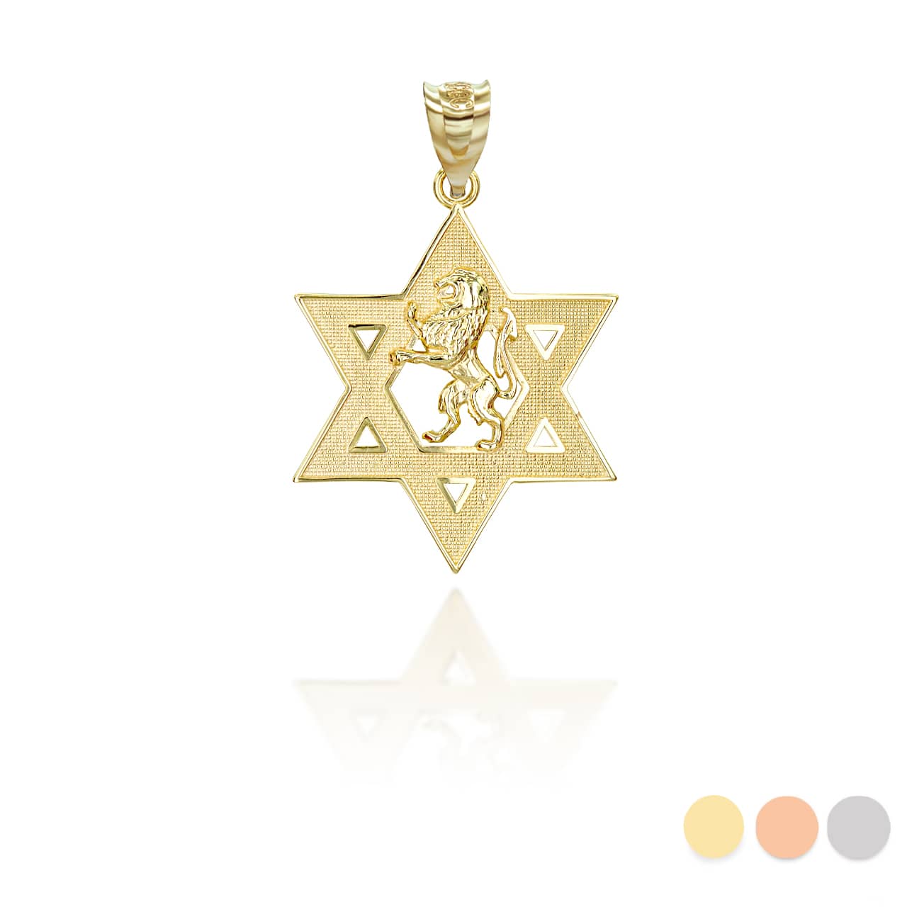 Gold Jewish Star of David Lion of Judah Pendant Necklace