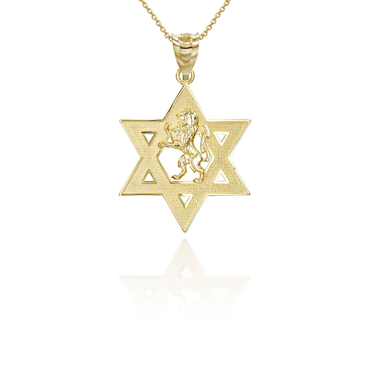 Gold Jewish Star of David Lion of Judah Pendant Necklace, view 5