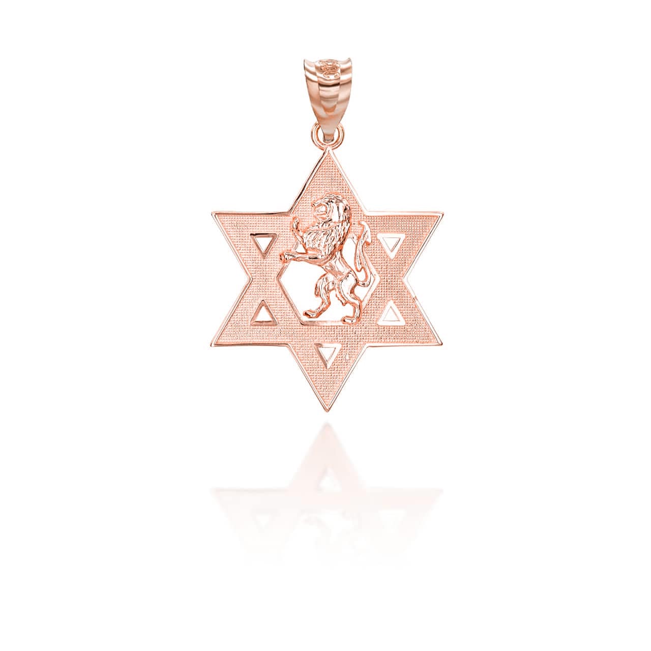 Gold Jewish Star of David Lion of Judah Pendant Necklace, view 6