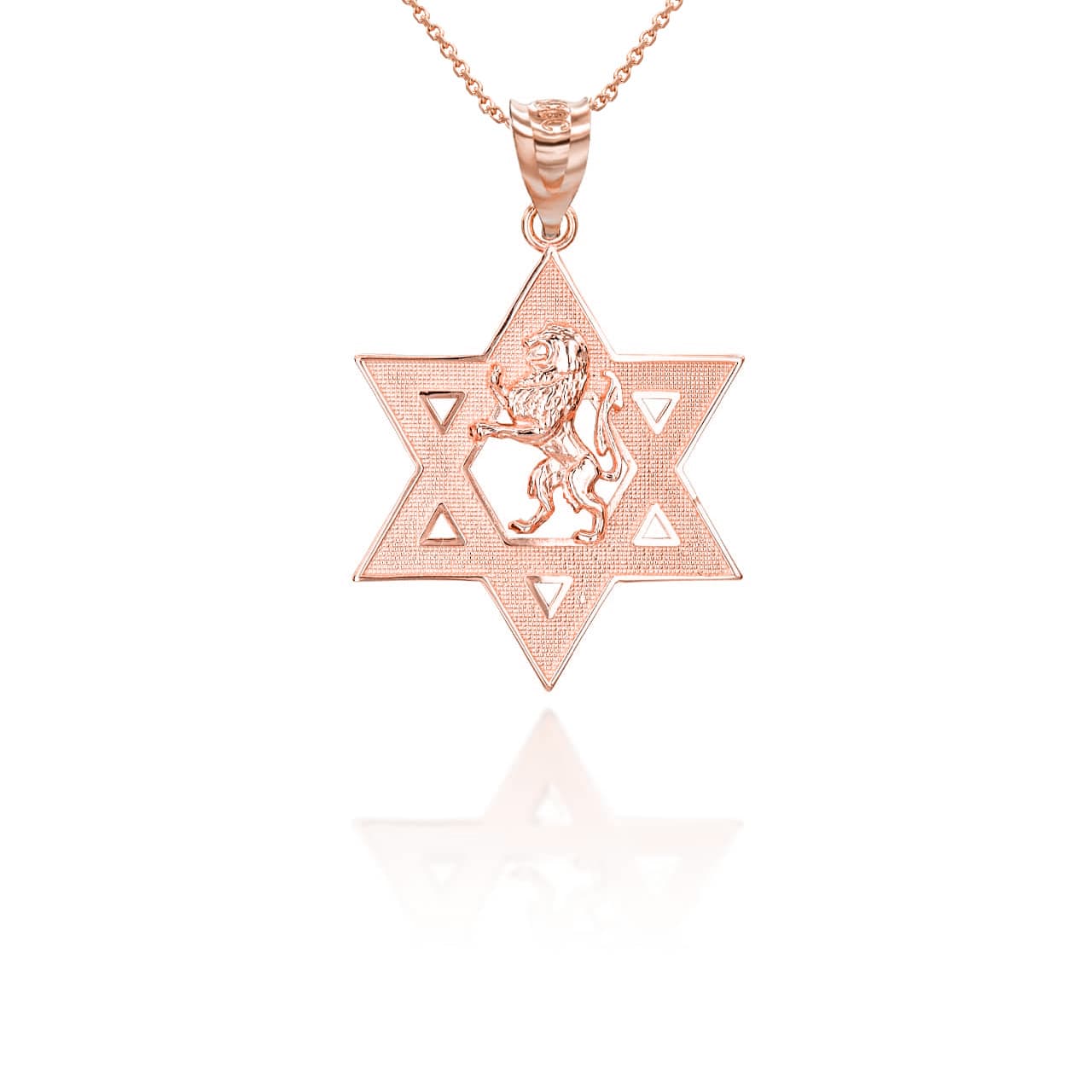 Gold Jewish Star of David Lion of Judah Pendant Necklace, view 7