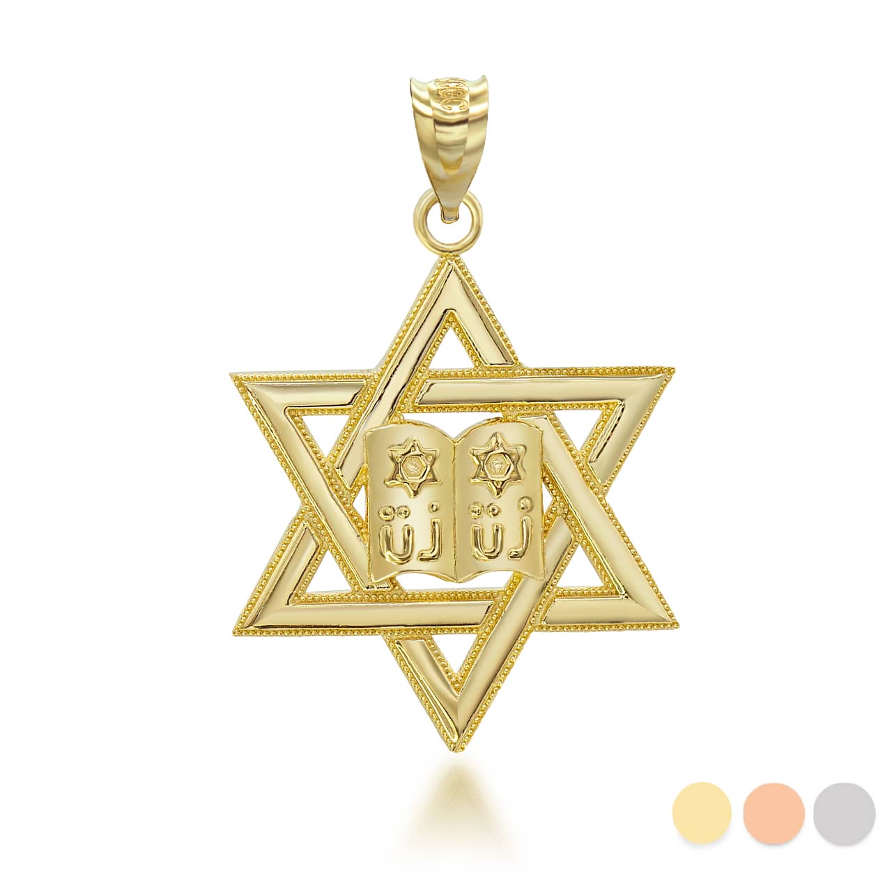 Gold Star of David Torah Pendant Necklace