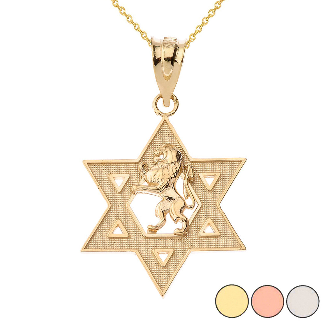 Gold Star of David with Lion of Judah Pendant Necklace
