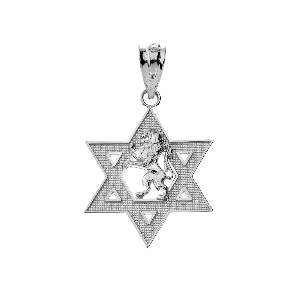 Gold Star of David with Lion of Judah Pendant Necklace, view 4