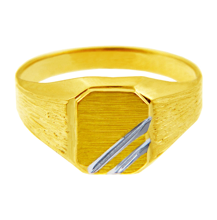 Men's Two-Tone Solid Gold Zeus Signet Ring, view 2