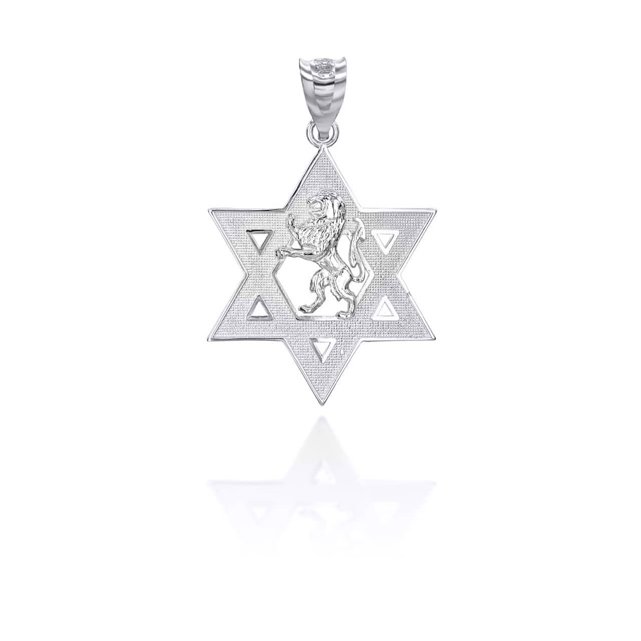 Silver Jewish Star of David Lion of Judah Pendant Necklace