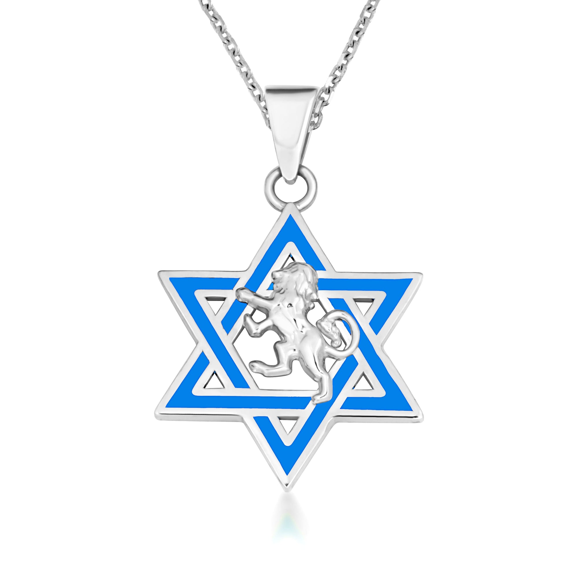 Silver Jewish Star of David Necklace with Lion, view 4