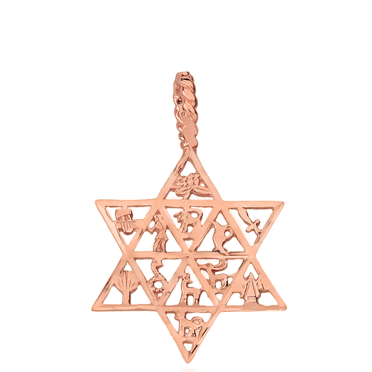Solid Gold Jewish Star of David Charm 12 Tribes of Israel Pendant Necklace, view 3
