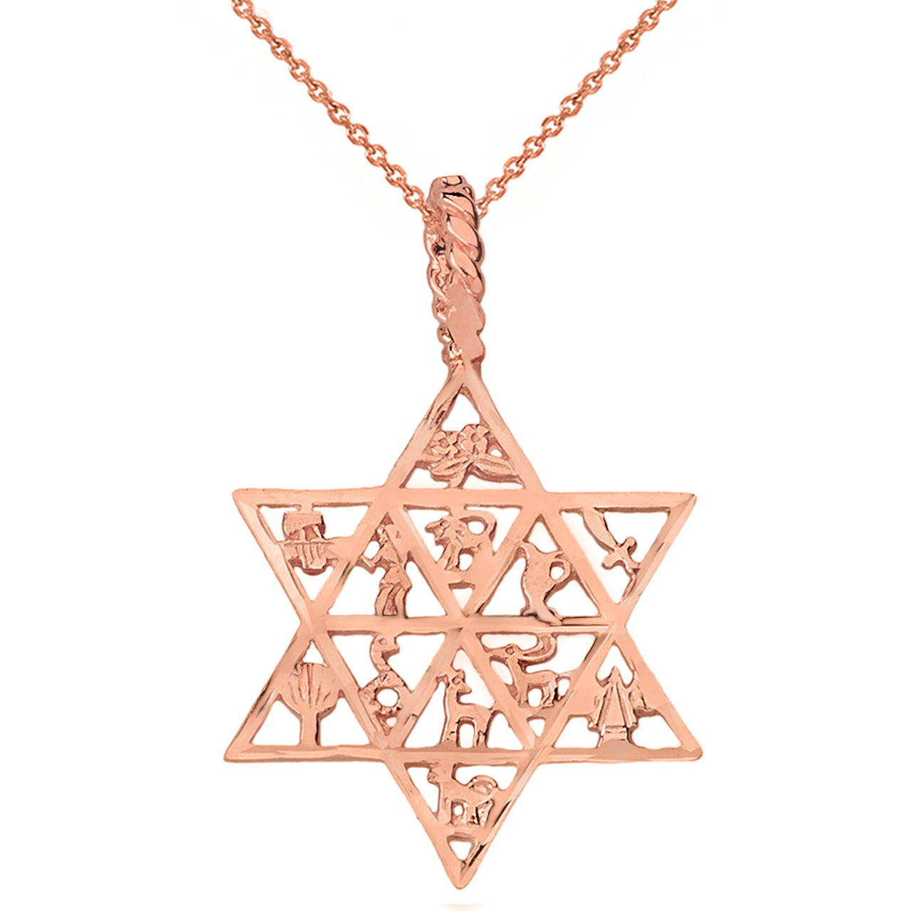 Solid Gold Jewish Star of David Charm 12 Tribes of Israel Pendant Necklace, view 6