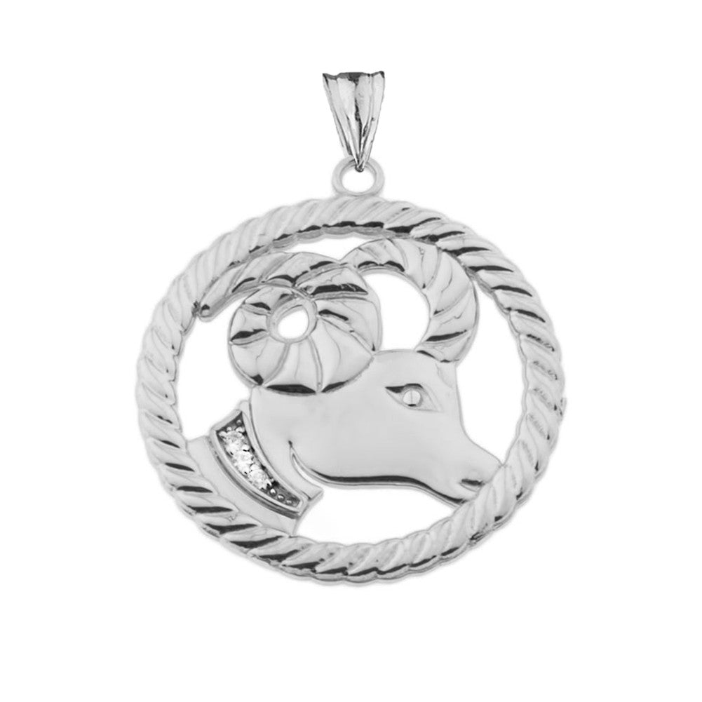 Sterling Silver 12 Astrological Diamond Zodiac in Rope Pendant Necklace