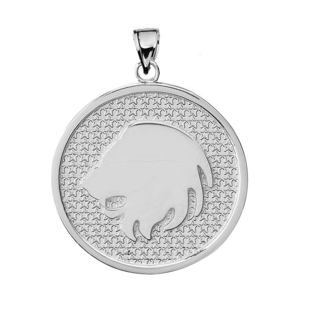 Sterling Silver 12 Astrological Zodiac Disc Pendant Necklace, view 9