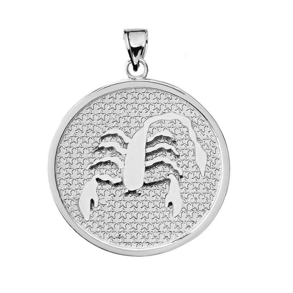 Sterling Silver 12 Astrological Zodiac Disc Pendant Necklace, view 15