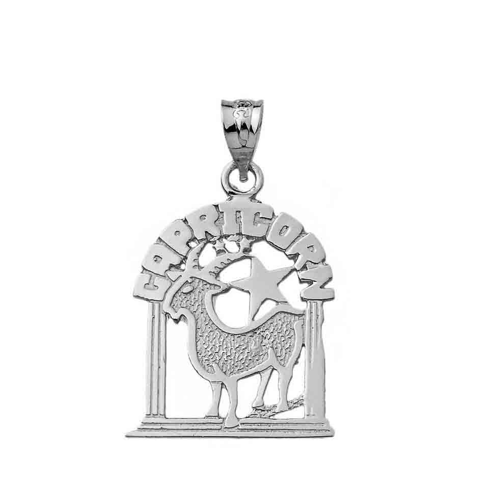 Sterling Silver 12 Zodiac Signs Pendant Necklace, view 4
