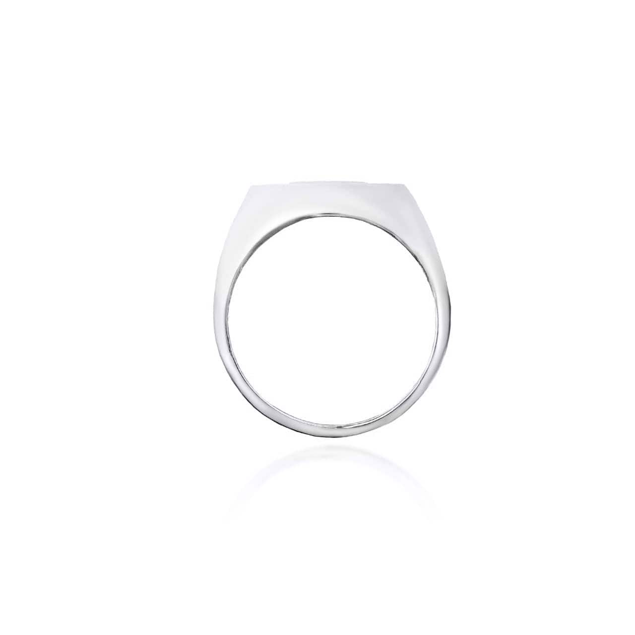 Sterling Silver Dollar Sign Money Textured Signet Ring, view 4