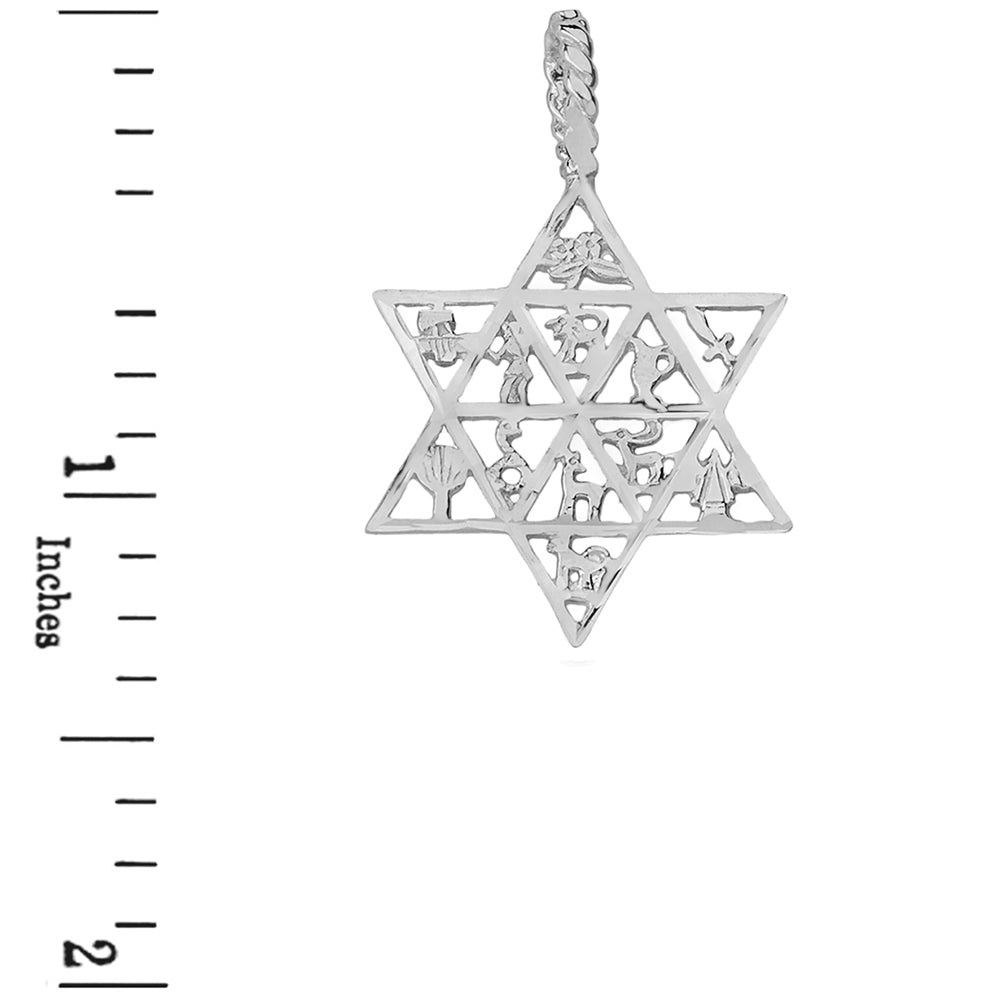 Sterling Silver Jewish Star of David Charm 12 Tribes of Israel Pendant Necklace, view 3