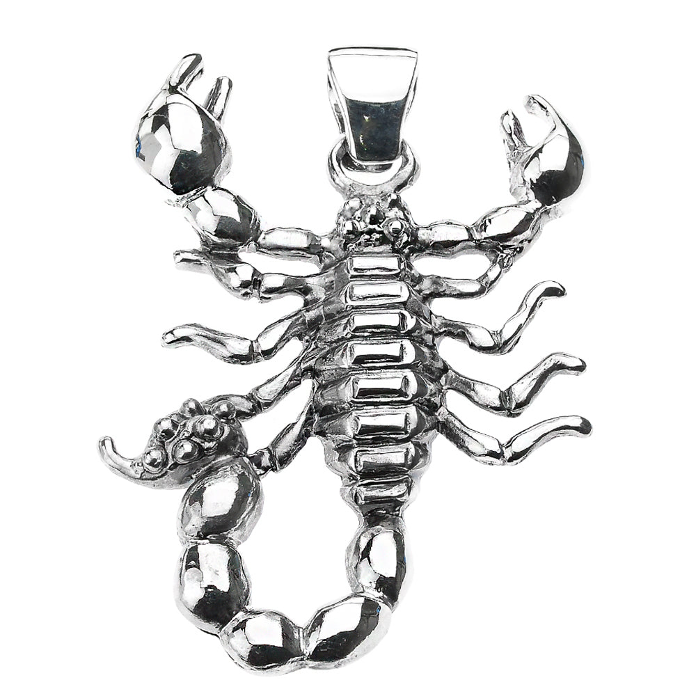 Sterling Silver Scorpion Pendant Necklace, view 2