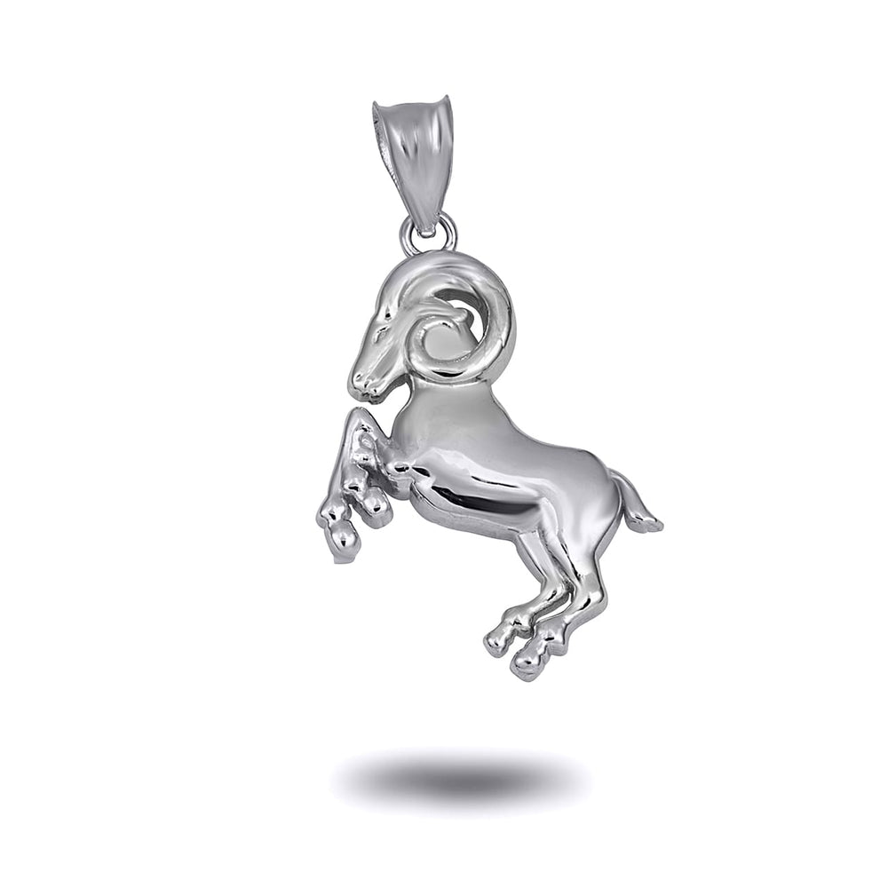 Sterling Silver Zodiac Symbol Pendant Necklace