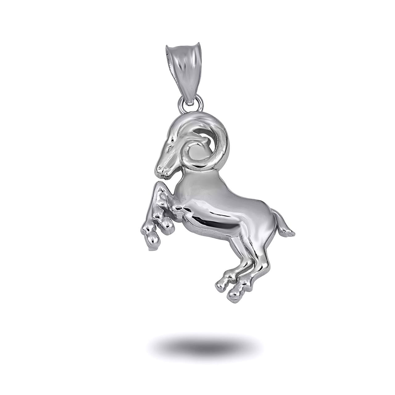 Sterling Silver Zodiac Symbol Pendant Necklace