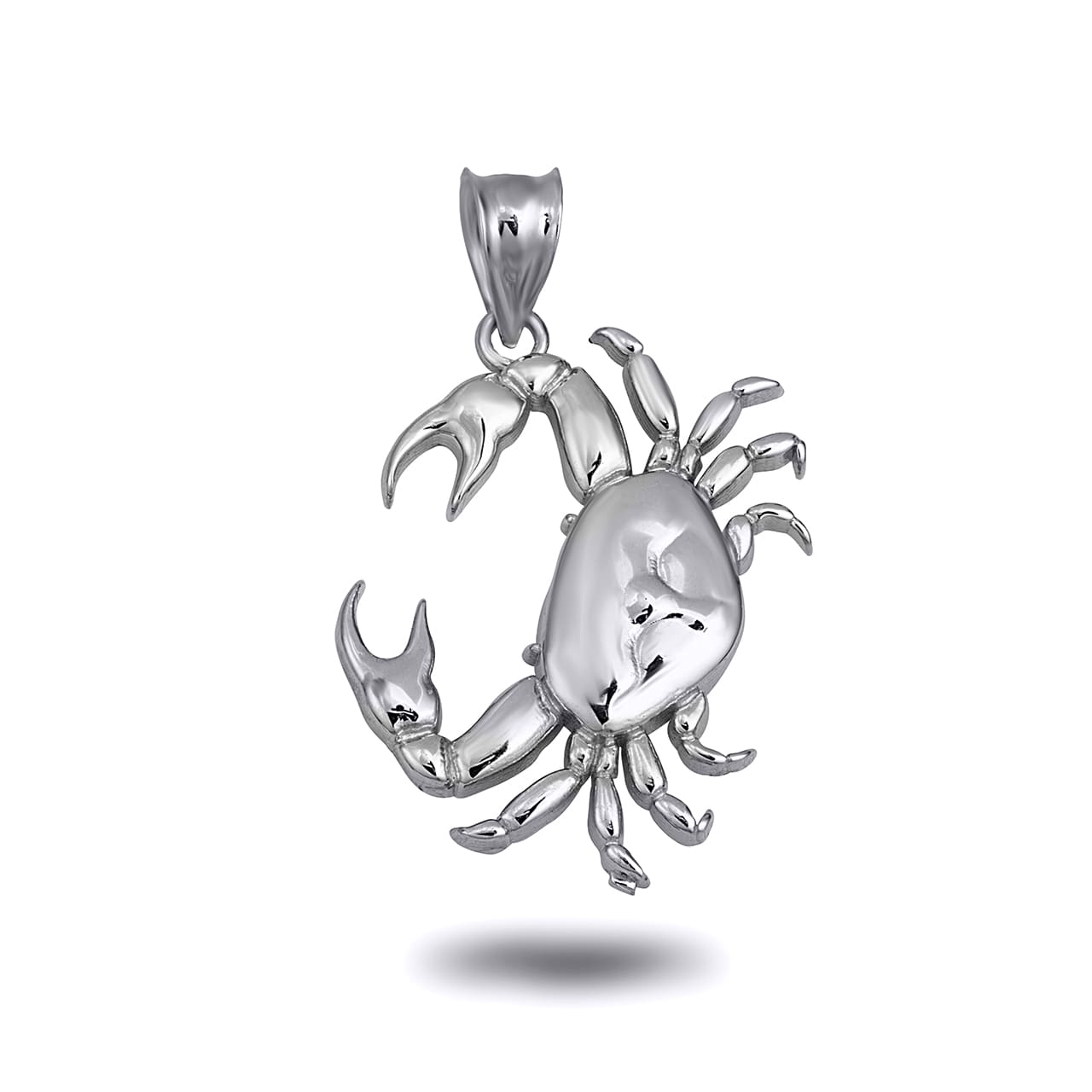 Sterling Silver Zodiac Symbol Pendant Necklace, view 13